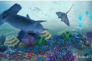 金沙足球正版app下载电脑免费版